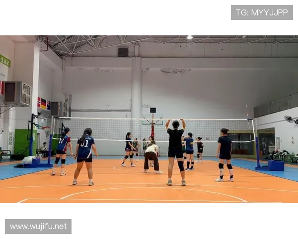 体育排球联赛直播平台（体育频道排球直播cctv5在线观看）sports